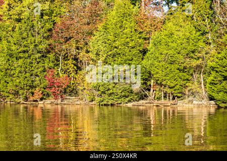 Eaux tranquilles tôt le matin sur la rivière Tennessee sur le lac Watts Bar en octobre près de Blue Springs. Banque D'Images