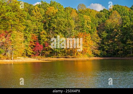 Couleurs d'automne sur les eaux calmes d'une crique sur le lac Bay Springs sur la rivière Tennessee Tombigbee dans le Mississippi en automne. Banque D'Images