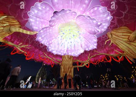 Beijing, Chine.28th décembre 2024. Les installations de lanternes multicolores sont illuminées lors du Beijing Megalights Wonderland 2025 au parc Wenyuhe le 28 décembre 2024 à Pékin, en Chine. Un fabuleux spectacle de lanternes appelé « Beijing Thousand Lantern Night » débute le 28 décembre et dure jusqu'au 2025 mars, présentant plus de mille ensembles de lanternes zigong colorées, utilisant les lumières scintillantes pour afficher l'excellente culture chinoise traditionnelle, permettant aux visiteurs de s'immerger dans l'atmosphère joyeuse. Crédit : Fu Tian/China News Service/Alamy Live News Banque D'Images