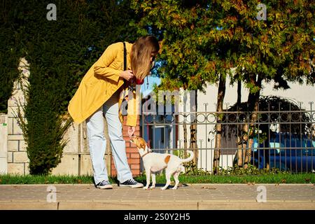 Une femme portant un imperméable jaune fait plaisir à son Jack Russell Terrier pendant la promenade sur le trottoir le jour ensoleillé. Femme dressant son chien Banque D'Images