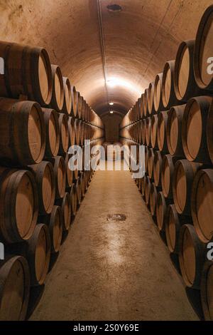 Elciego, Espagne - 28 décembre 2024 : fûts de chêne stockant le vin dans les caves de la cave marque de Riscal, Rioja Alvesa, Espagne Banque D'Images