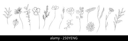 Ensemble de minuscules fleurs sauvages et plantes alignent l'art Illustration de Vecteur