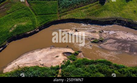 Vue aérienne de belle vue dans les champs de maïs symétriques verts dans la zone rurale le long de la rivière. Contexte du paysage agricole Banque D'Images