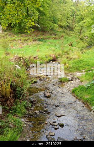 Ashcombe Gardens, Simonsbath, Exmoor National Park, Somerset ...