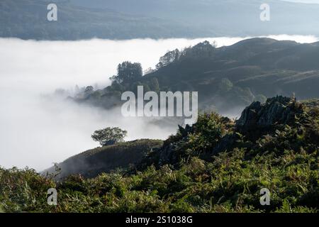 Un matin ensoleillé et lumineux sur Loughrigg est tombé avec une inversion de nuages créant une couche de brume sous les puits dans cet emplacement Lake District. Banque D'Images