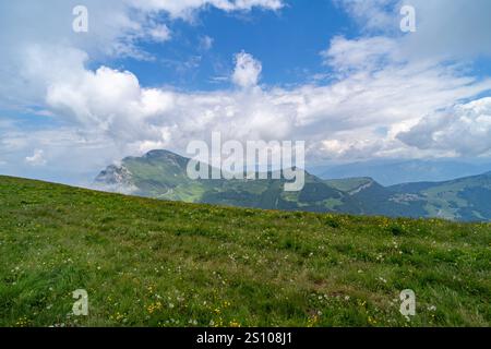 Collines verdoyantes et montagnes lointaines sous un ciel partiellement nuageux, avec une prairie vibrante parsemée de fleurs sauvages et de pissenlits au premier plan. Banque D'Images