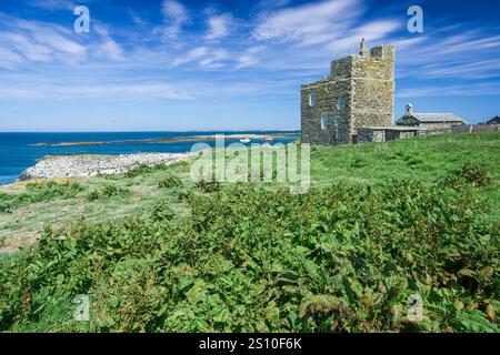 Vue de Inner Farne, îles Farne, Northumberland, Royaume-Uni, 11 juin 2015 Banque D'Images