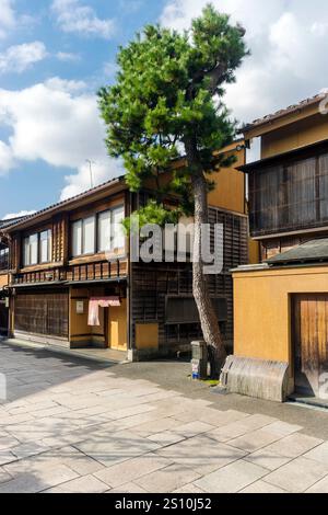 Maisons de ville dans un district traditionnel de Chaya à Kanazawa (Kanazawa/Japon) Banque D'Images