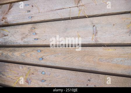 Les planches de bois sont placées les unes sur les autres et sont de longueurs et largeurs différentes. Les planches ont un ton de bois clair à foncé. Certaines planches montrent Banque D'Images