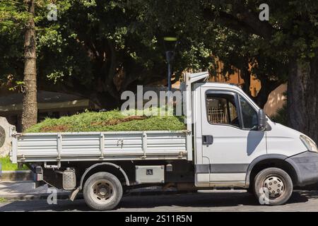 Vue latérale d'un petit pick-up blanc garé rempli de coupures d'herbe coupée, de mauvaises herbes, de plantes séchées et de feuilles à la fin de l'été, Messine, Sicile, Italie, Banque D'Images