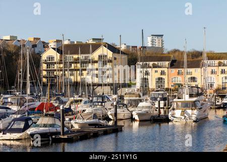 Yachts dans la marina, Cardiff Bay, pays de Galles, Royaume-Uni Banque D'Images