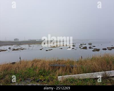 Plage à l’Anse aux Meadows, Terre-Neuve-et-Labrador, Canada Banque D'Images