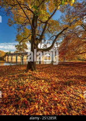 Vue de jour à l'automne du Tyne Green Country Park à Hexham, Northumberland avec Hexham Bridge et la rivière Tyne et couleurs automnales Banque D'Images