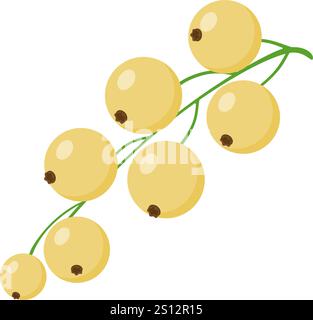Bunche de baies de Currant Blanc. Dessiné à la main style plat tendance illustration isolée Berry pour confiture. Illustration vectorielle Illustration de Vecteur