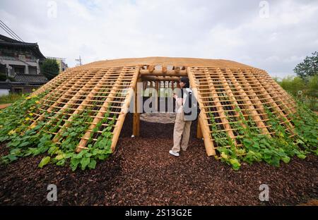 Une structure en treillis en bois, ronde, en dôme avec des vignes en croissance. À l'installation du parc temporaire Land architecture Land Urbanism à Séoul, Corée du Sud. Banque D'Images