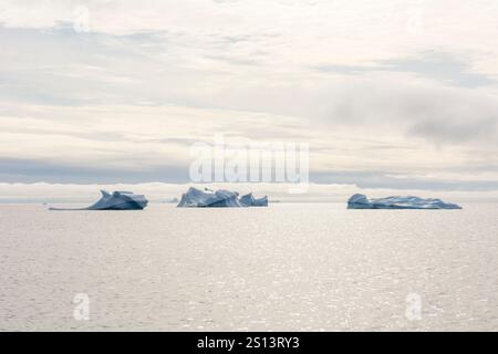 Une image captivante d'imposants icebergs flottant dans le vaste et froid océan sous un ciel couvert et d'humeur sombre. Les nuages lourds créent une atmosphère dramatique, Banque D'Images