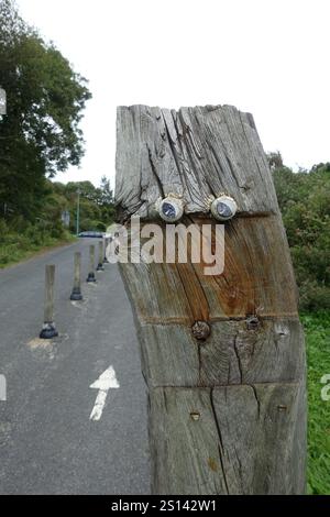 Planche de chemin de fer peinte comme un drôle de visage, France, Bretagne, Saint-Cast-le-Guildo Banque D'Images