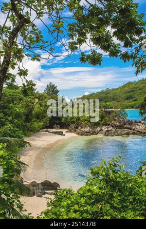 Plage isolée à Port Launay Beach, Seychelles, Mahé Banque D'Images