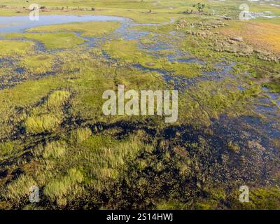 Paysage au Botswana. Vol de Maun au delta de l'Okavango en hélicoptère. Banque D'Images