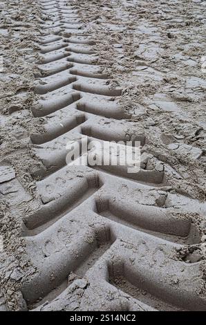 Traces de la bande de roulement d'un camion hors route laissées dans le sable sur la plage. Banque D'Images