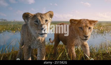 Mufasa : The Lion King (2024) réalisé par Barry Jenkins et mettant en vedette Aaron Pierre, Kelvin Harrison Jr. et Seth Rogen. Simba, devenu roi des terres de la fierté, est déterminé à ce que son petit suive dans ses empreintes de pattes tandis que les origines de son défunt père Mufasa sont explorées. Publicité encore ***USAGE ÉDITORIAL SEULEMENT***. Crédit : BFA / Walt Disney Pictures Banque D'Images