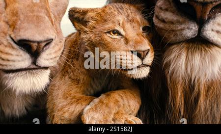 Mufasa : The Lion King (2024) réalisé par Barry Jenkins et mettant en vedette Aaron Pierre, Kelvin Harrison Jr. et Seth Rogen. Simba, devenu roi des terres de la fierté, est déterminé à ce que son petit suive dans ses empreintes de pattes tandis que les origines de son défunt père Mufasa sont explorées. Publicité encore ***USAGE ÉDITORIAL SEULEMENT***. Crédit : BFA / Walt Disney Pictures Banque D'Images