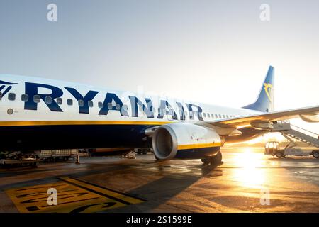 Trévise, Italie - 30 décembre 2024 : avion Ryanair au sol dans la matinée avec la lumière du soleil réfléchie sur le tarmac humide Banque D'Images