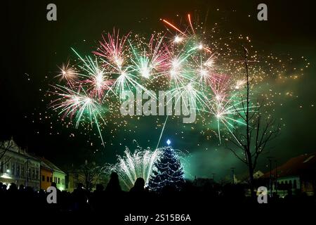 Feu d'artifice de la Saint-Sylvestre organisé par la ville de Letovice, République tchèque, le 31 décembre 2024. (CTK photo/Petr Svancara) Banque D'Images