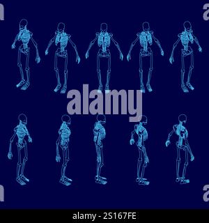 Des séries de squelettes bleus sont montrées dans diverses poses. Concept de mouvement et de vie, comme si les squelettes venaient à la vie. La couleur bleue de l'écheveau Illustration de Vecteur