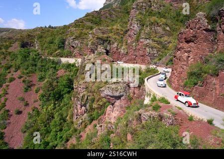 Groupe d'amis partageant le même amour du vintage Citroën 2CV dans la pittoresque gorge de Daluis. Guillaumes, Alpes-Maritimes, France. Banque D'Images