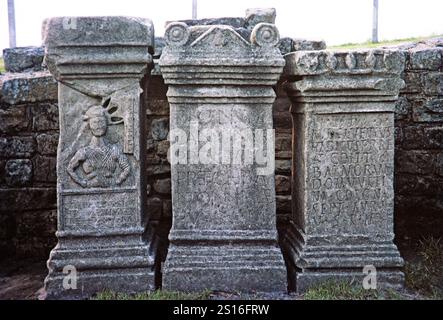 Visite de la société archéologique au mur d'Hadrien, Northumberland, Angleterre, Royaume-Uni Mithram autels, Temple de Mithras, Mithraeum, Carrawburgh 1969 Banque D'Images