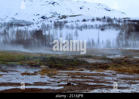 Paysage brumeux et enneigé pendant l'hiver près du geyser de Strokkur, Islande Banque D'Images