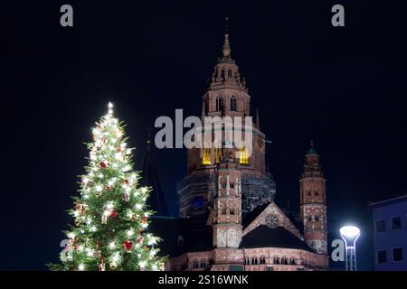 Mainz, Allemagne. 31 décembre 2024. Le sapin de Noël au premier plan et le dôme Saint Martin en arrière-plan. Banque D'Images