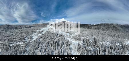 Une couverture de neige recouvre le paysage sauvage et boisé entourant le mont. Hood, Oregon. Cette région du nord-ouest du Pacifique est à seulement une heure de route de Portland. Banque D'Images