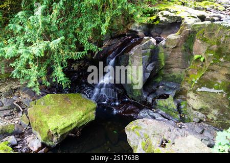 Partie inférieure des chutes des fées, appelée Rhaeadr y Tylwyth Teg en gallois. Chute d'eau dans le comté de Trefriw Conwy, pays de Galles du Nord, Royaume-Uni, basse eau parce que si somme Banque D'Images