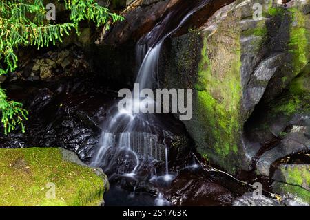 Partie inférieure des chutes des fées, appelée Rhaeadr y Tylwyth Teg en gallois. Chute d'eau dans le comté de Trefriw Conwy, pays de Galles du Nord, Royaume-Uni, basse eau parce que si somme Banque D'Images