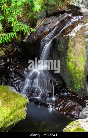 Partie inférieure des chutes des fées, appelée Rhaeadr y Tylwyth Teg en gallois. Chute d'eau dans le comté de Trefriw Conwy, pays de Galles du Nord, Royaume-Uni, basse eau parce que si somme Banque D'Images
