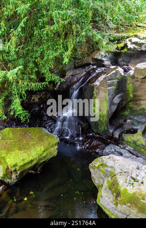 Partie inférieure des chutes des fées, appelée Rhaeadr y Tylwyth Teg en gallois. Chute d'eau dans le comté de Trefriw Conwy, pays de Galles du Nord, Royaume-Uni, basse eau parce que si somme Banque D'Images
