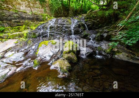 La partie principale des Fairy Falls, appelée Rhaeadr y Tylwyth Teg en gallois. Cascade dans le comté de Trefriw Conwy, pays de Galles du Nord, Royaume-Uni, basse eau parce que si summ Banque D'Images