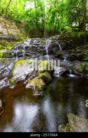 La partie principale des Fairy Falls, appelée Rhaeadr y Tylwyth Teg en gallois. Cascade dans le comté de Trefriw Conwy, pays de Galles du Nord, Royaume-Uni, basse eau parce que si summ Banque D'Images