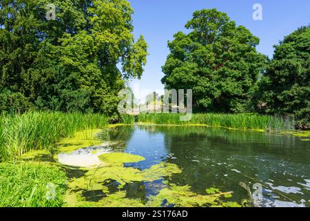 Godmanchester Cambridgeshire la rivière Great Ouse depuis Queens Walk Bridge Godmanchester près de Huntingdon Cambridgeshire Angleterre Royaume-Uni GB Europe Banque D'Images