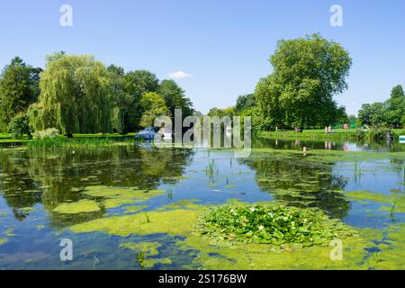 Godmanchester Cambridgeshire la rivière Great Ouse et le terrain de loisirs de Godmanchester Queens Walk Godmanchester Angleterre GB Europe Banque D'Images