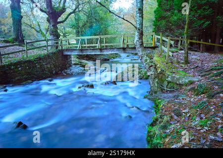 Une scène paisible avec un pont en bois sur la rivière Bayones dans la forêt luxuriante d'Ucieda dans la vallée de Cabuerniga, Cantabrie, Espagne. Banque D'Images