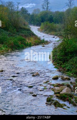 Une vue sereine sur la rivière Saja qui coule doucement à travers la verdoyante vallée de Cabuerniga en Cantabrie, Espagne. Banque D'Images