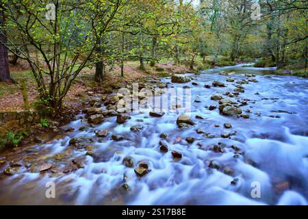 Une scène tranquille de la rivière Bayones qui coule doucement sur les rochers dans la forêt luxuriante d'Ucieda, situé dans la vallée pittoresque de Cabuerniga, Cantabrie. T Banque D'Images