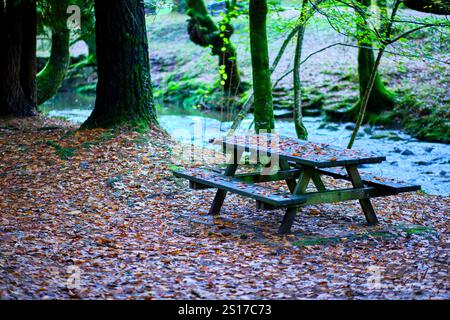 Une scène paisible avec une table de pique-nique en bois recouverte de feuilles d'automne, positionnée au bord de la rivière Bayones dans la forêt d'Ucieda de la vallée de Cabuerniga Banque D'Images