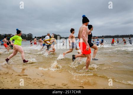 Haltern, Allemagne. 1er janvier 2025. Les nageurs courent vers l'eau. Les participants, dont beaucoup en costumes, s'amusent à la baignade annuelle du jour de l'an au lac Haltern près de la ville de Haltern am See. Près de 700 participants inscrits, un record pour l'événement, courent à travers la plage de sable naturel du lido du lac et dans l'eau glacée pour prendre un bain et nager pour la charité (cette année, une soupe populaire pour ceux dans le besoin). Plusieurs centaines d'autres sont venus soutenir et regarder les nageurs qui se réchauffent avec du thé, du vin chaud et de la nourriture copieux sur la plage par la suite. Crédit : Imageplotter/Alamy Live News Banque D'Images