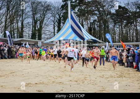 Haltern, Allemagne. 1er janvier 2025. Les nageurs courent vers l'eau. Les participants, dont beaucoup en costumes, s'amusent à la baignade annuelle du jour de l'an au lac Haltern près de la ville de Haltern am See. Près de 700 participants inscrits, un record pour l'événement, courent à travers la plage de sable naturel du lido du lac et dans l'eau glacée pour prendre un bain et nager pour la charité (cette année, une soupe populaire pour ceux dans le besoin). Plusieurs centaines d'autres sont venus soutenir et regarder les nageurs qui se réchauffent avec du thé, du vin chaud et de la nourriture copieux sur la plage par la suite. Crédit : Imageplotter/Alamy Live News Banque D'Images