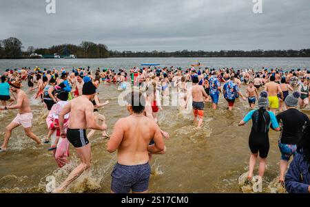 Haltern, Allemagne. 1er janvier 2025. Les nageurs courent vers l'eau. Les participants, dont beaucoup en costumes, s'amusent à la baignade annuelle du jour de l'an au lac Haltern près de la ville de Haltern am See. Près de 700 participants inscrits, un record pour l'événement, courent à travers la plage de sable naturel du lido du lac et dans l'eau glacée pour prendre un bain et nager pour la charité (cette année, une soupe populaire pour ceux dans le besoin). Plusieurs centaines d'autres sont venus soutenir et regarder les nageurs qui se réchauffent avec du thé, du vin chaud et de la nourriture copieux sur la plage par la suite. Crédit : Imageplotter/Alamy Live News Banque D'Images