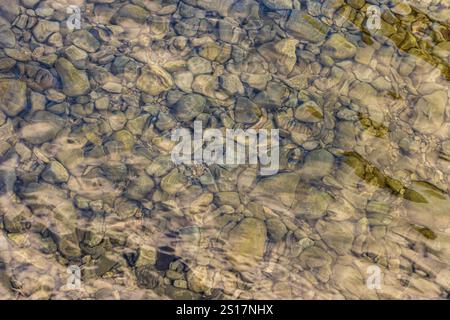 L'eau cristalline coule doucement sur des pierres lisses dans un lit de rivière naturel. Banque D'Images